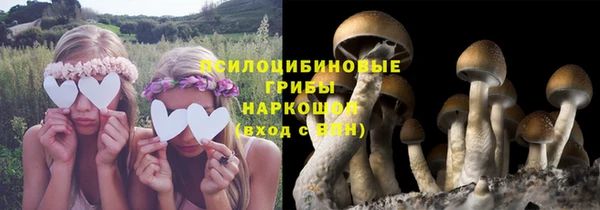 соль курить ск Богданович