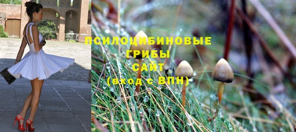 не бодяженный Богородицк