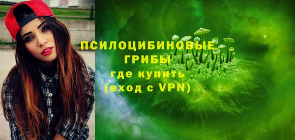 не бодяженный Богородицк
